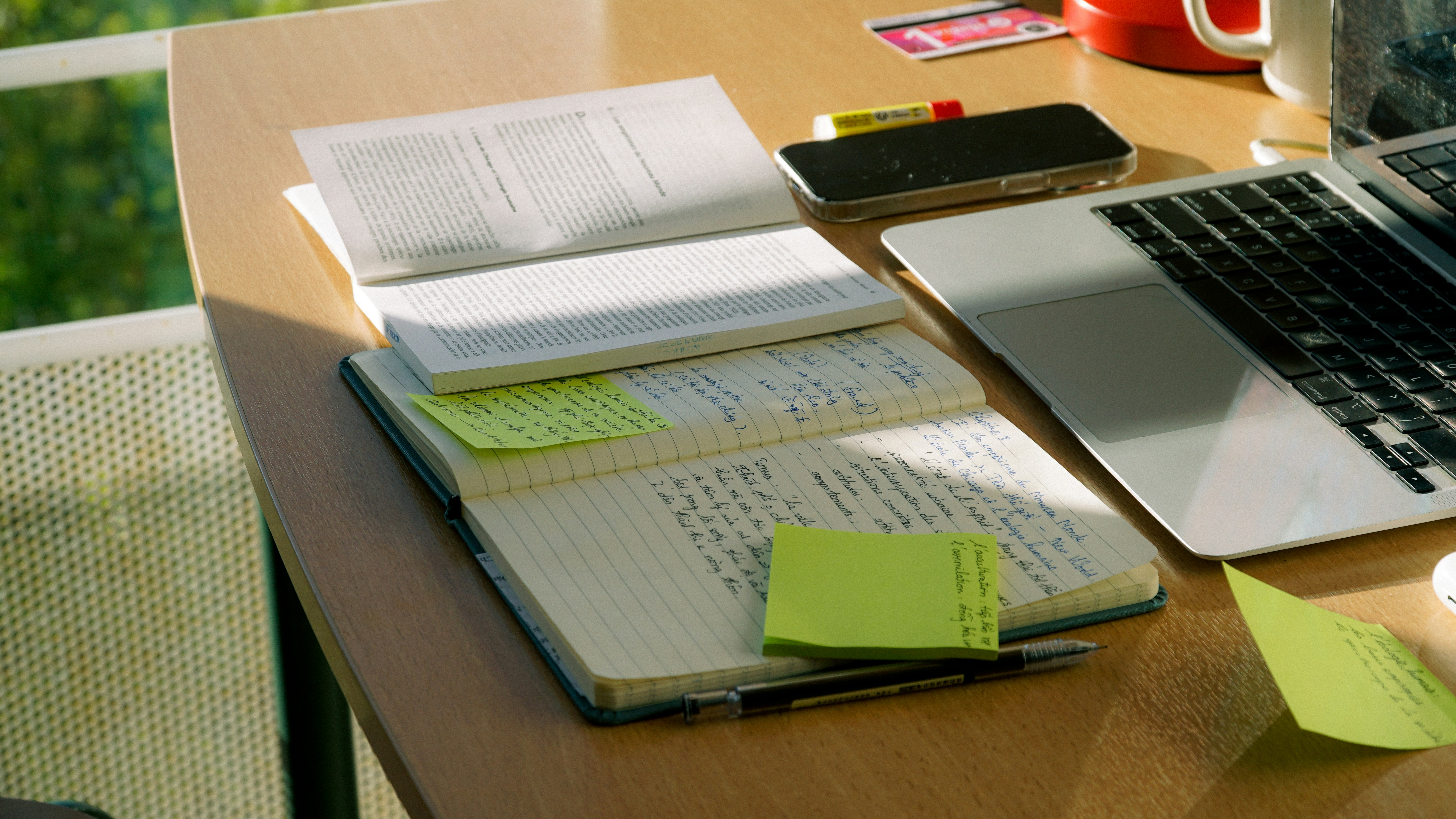 Organización